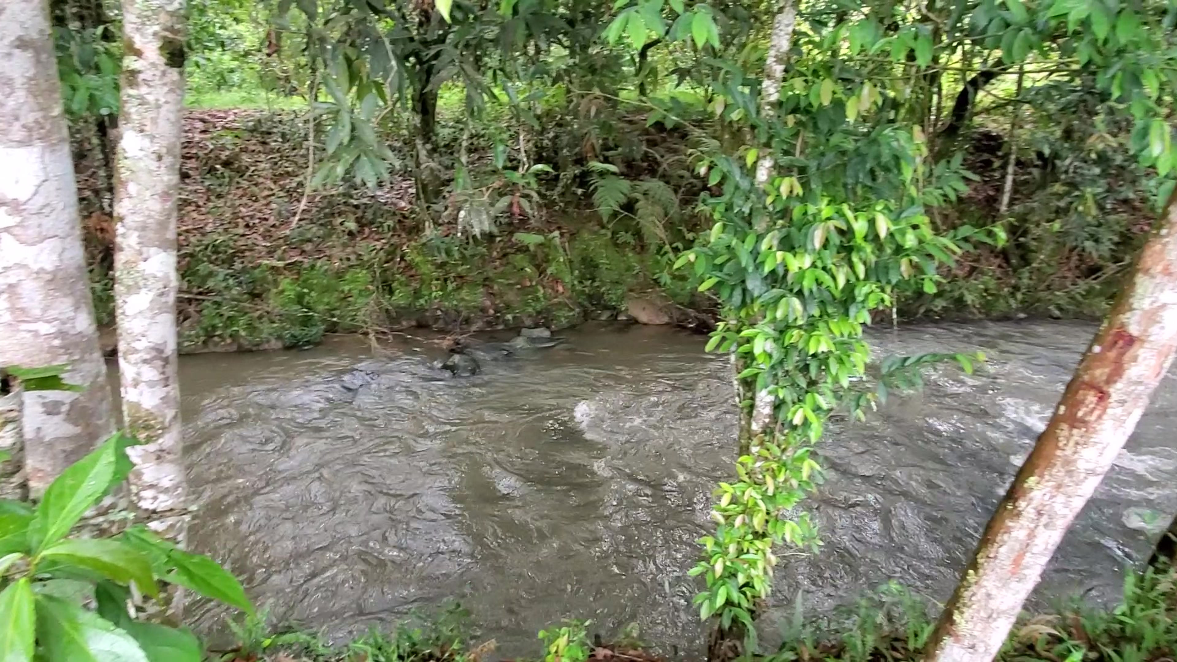 QUEBRADA RÍO BLANCO